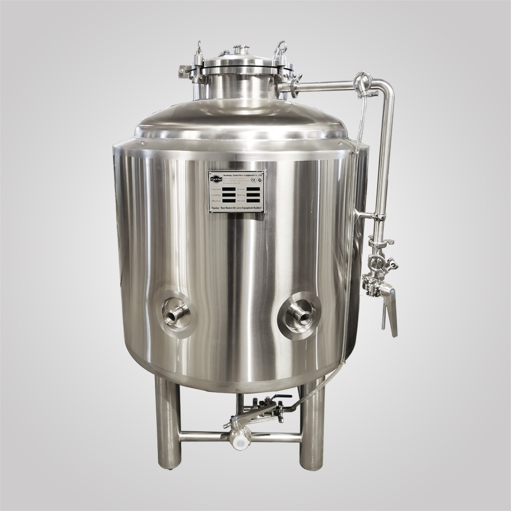 <b>2.5BBL Mini Bright Beer Tank</b>